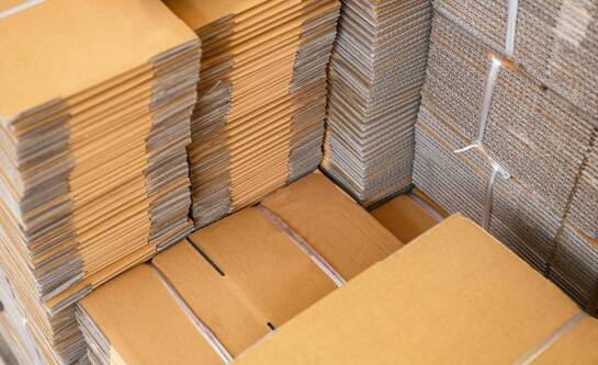 Jak skup makulatury przyczynia się do ochrony lasów?