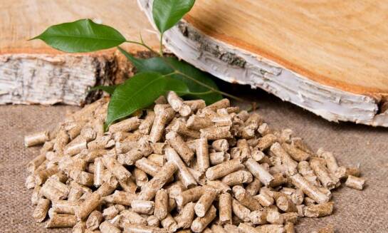 Brykiet z torfu w kontekście globalnych trendów w biopaliwach