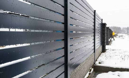 Ile kosztuje tona węgla w Elblągu?