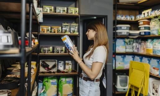 Moda wśród akcesoriów dla kotów – co jest teraz na topie?
