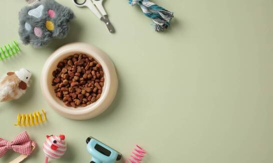 Jakie witaminy są kluczowe dla kociej młodzieży?