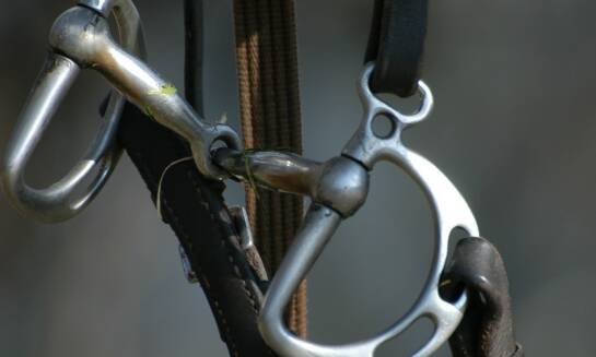 Jakie korzyści przynosi stosowanie odpowiednio dobranego wędzidła dla konia?