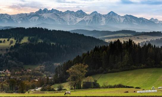 Wynajem apartamentów w Górach Karpacz: Spokój i relaks dla każdego