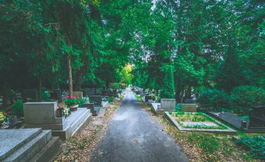 Nowoczesne nagrobki skałkowe – co je wyróżnia?