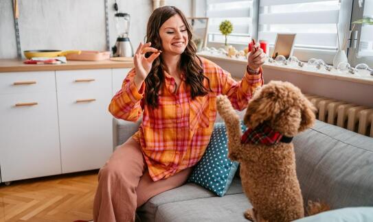 Co zrobić w przypadku podejrzenia alergii u zwierzęcia? Porady