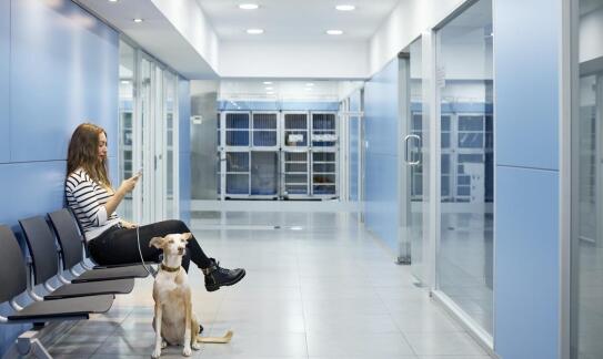 Nowoczesne urządzenia diagnostyczne: jak wpływają na skuteczność leczenia zwierząt?