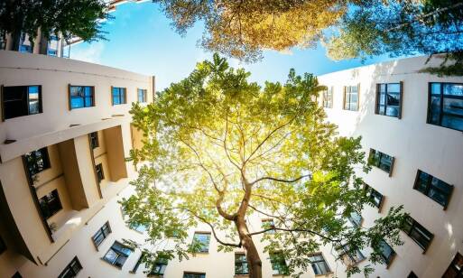 Indywidualne spacery jako element terapii w hotelu dla agresywnych psów