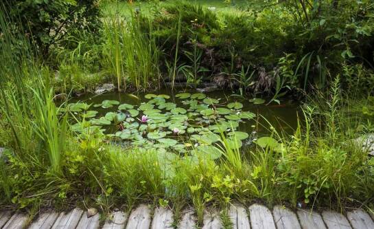 Czym zabezpieczyć drewno w gruncie przed wilgocią i pleśnią