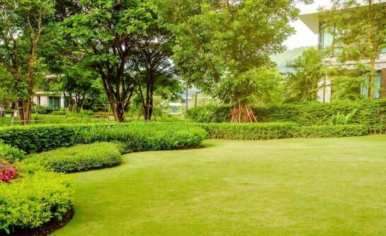 Ile kosztuje koń i jego utrzymanie?