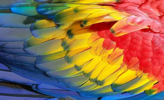 Zoo Wrocław bilet online czy trzeba drukować?