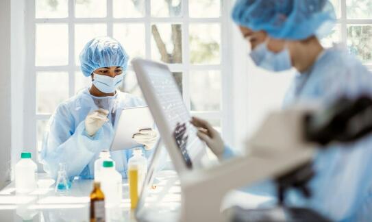 Proces diagnostyki nowotworowej w weterynarii: od wykrycia do operacji