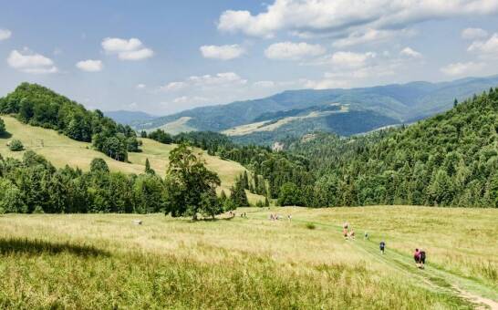 Wyjazdy grupowe z Siedlec: Jakie są najlepsze oferty dla miłośników przyrody?