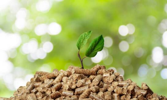 Jakie są kluczowe czynniki wpływające na popularność pelletu naturalnego?