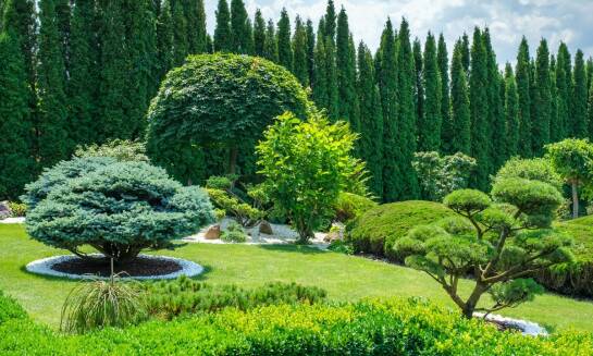 Jak nasze usługi montażu robotów koszących mogą zwiększyć efektywność ogrodu?