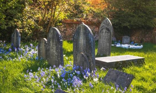 Nagrobki ekologiczne – coraz popularniejszy trend