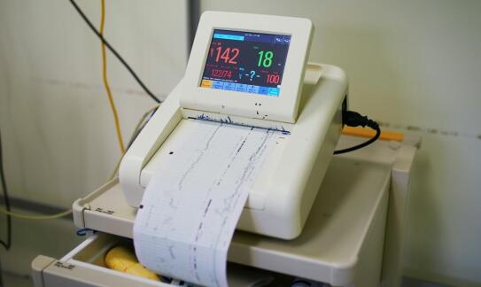 Zastosowanie EKG i UKG w monitorowaniu zdrowia serca podczas leczenia weterynaryjnego