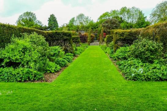 Co oferuje profesjonalna pielęgnacja zieleni miejskiej?