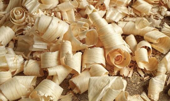 Ekologiczne aspekty produkcji kołków meblowych z drewna bukowego