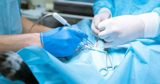 Rekonstrukcja MPFL u sportowców – wyzwania i rozwiązania w ortopedii