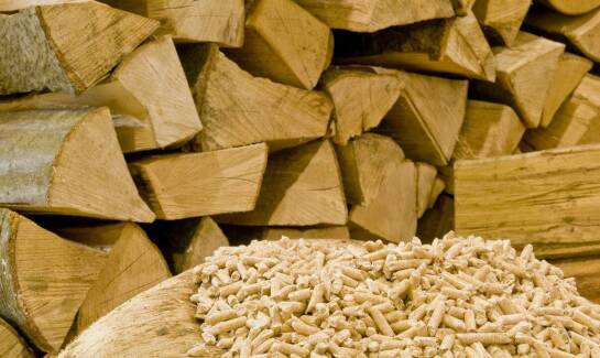 Porównanie kaloryczności drewna rozpałkowego różnych gatunków