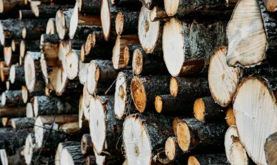 Drewno rozpalkowe – jak producent może wpłynąć na jego dostępność i jakość?