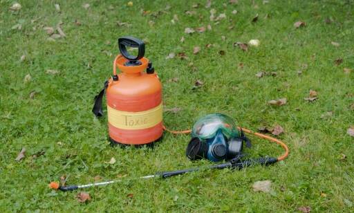 Jakie maszyny ogrodnicze warto wynająć na jesienne prace w ogrodzie?