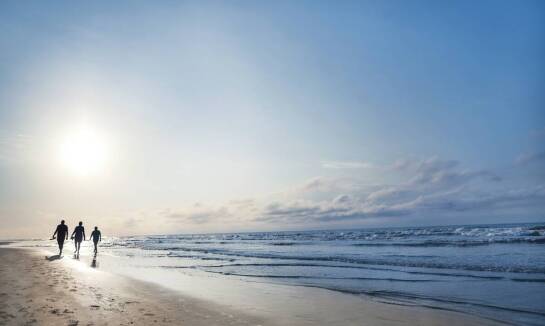 Jak dieta Dąbrowskiej wpływa na regenerację organizmu podczas pobytu nad morzem?