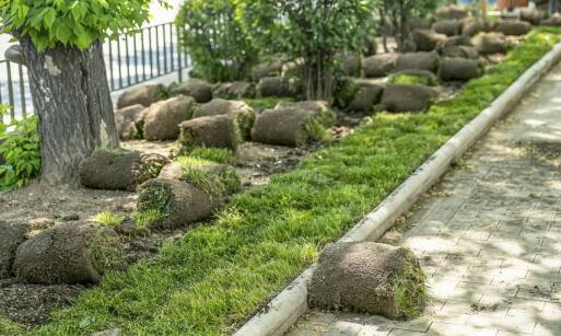 Trawa w rolkach: jakie korzyści płyną z jej zastosowania?