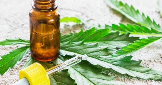 Zastosowanie olejku konopnego 30 w redukcji stanów zapalnych