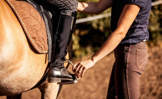 Stadnina z noclegami: oferta dla entuzjastów jeździectwa