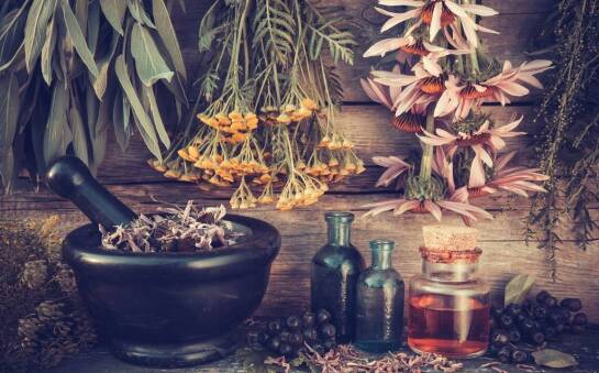 Rola herbaty ziołowej w domowej apteczce – co warto wiedzieć?