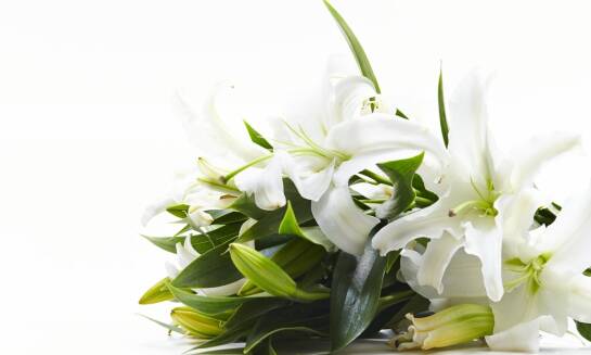Rola florystyki w tworzeniu wieńców pogrzebowych
