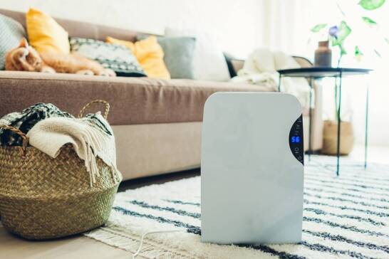 Jakie są etapy procesu ozonowania w kontekście dezynfekcji pomieszczeń?