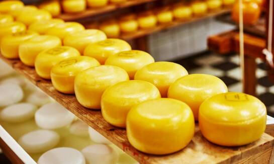 Jakie są najnowsze wymagania rynkowe dla hurtowni przetworów mlecznych?