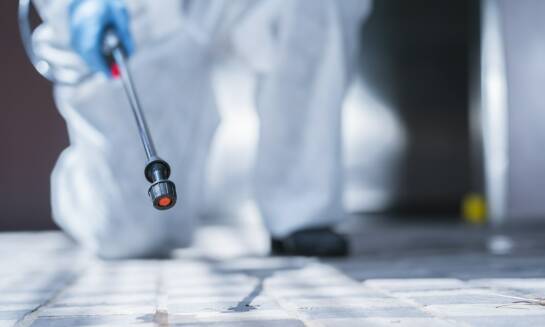 Zastosowanie innowacyjnych rozwiązań w zwalczaniu gryzoni bielsko