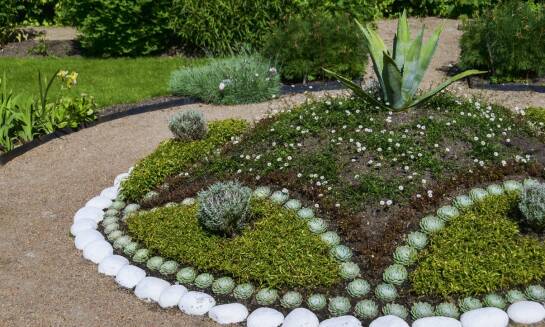 Wpływ kamienia łamanego na bioróżnorodność w miejskich terenach zielonych