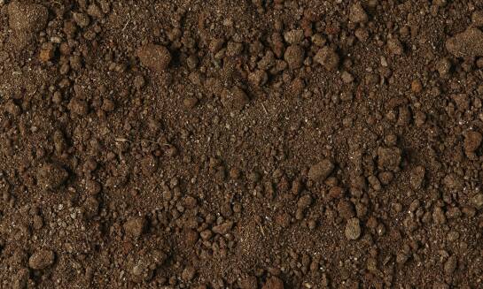 Wpływ ziemi ogrodowej na odżywianie gleby i wzrost roślin