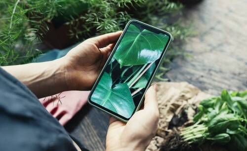 Jak mauser na wodę wspiera zrównoważony rozwój przedsiębiorstw?