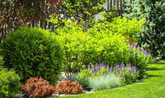 Skuteczność nawozów organicznych w pielęgnacji ogrodu