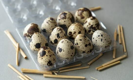 Jak jaja przepiórcze wspomagają zdrowie układu nerwowego?