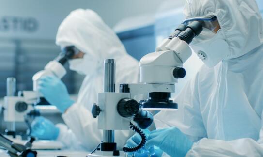 Innowacyjne podejścia do leczenia objawów zakażeń Clostridium difficile