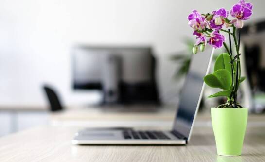 Ile godzin można pracować w ciąży?