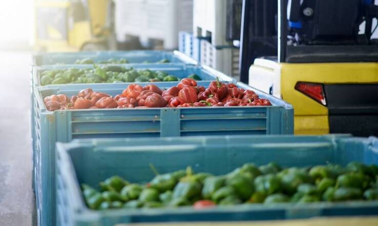 Wpływ konstrukcji palet wysiewnych na efektywność transportu roślin