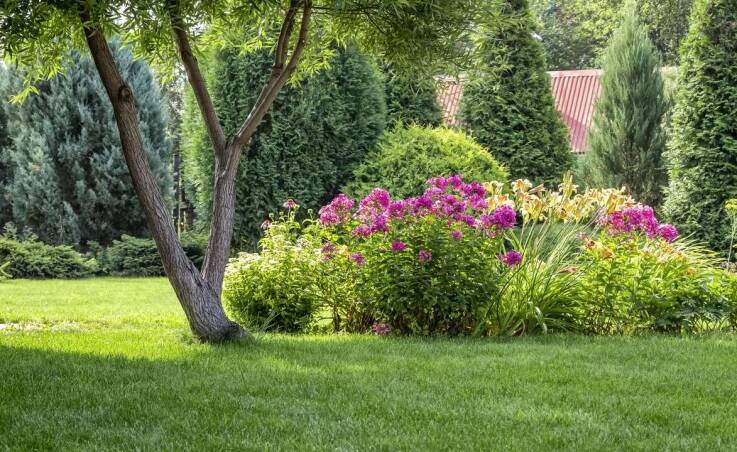 Jak nadzór nad realizacją wpływa na jakość ogrodów w Otwocku?