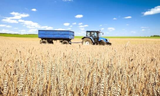 Dlaczego warto ubezpieczyć uprawy rolne?
