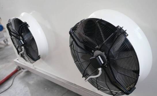 Jak założyć hodowlę szynszyli