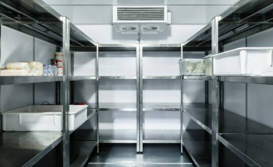 Jak założyć hodowlę szynszyli?