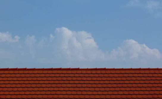 Czy hodowla kur niosek jest opłacalna?