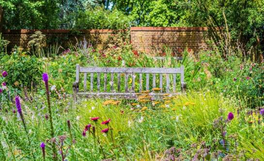 Jak hodować kury na jajka w przydomowym gospodarstwie