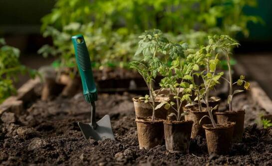 Jak zrobić skrzynkę na warzywa do ogrodu?